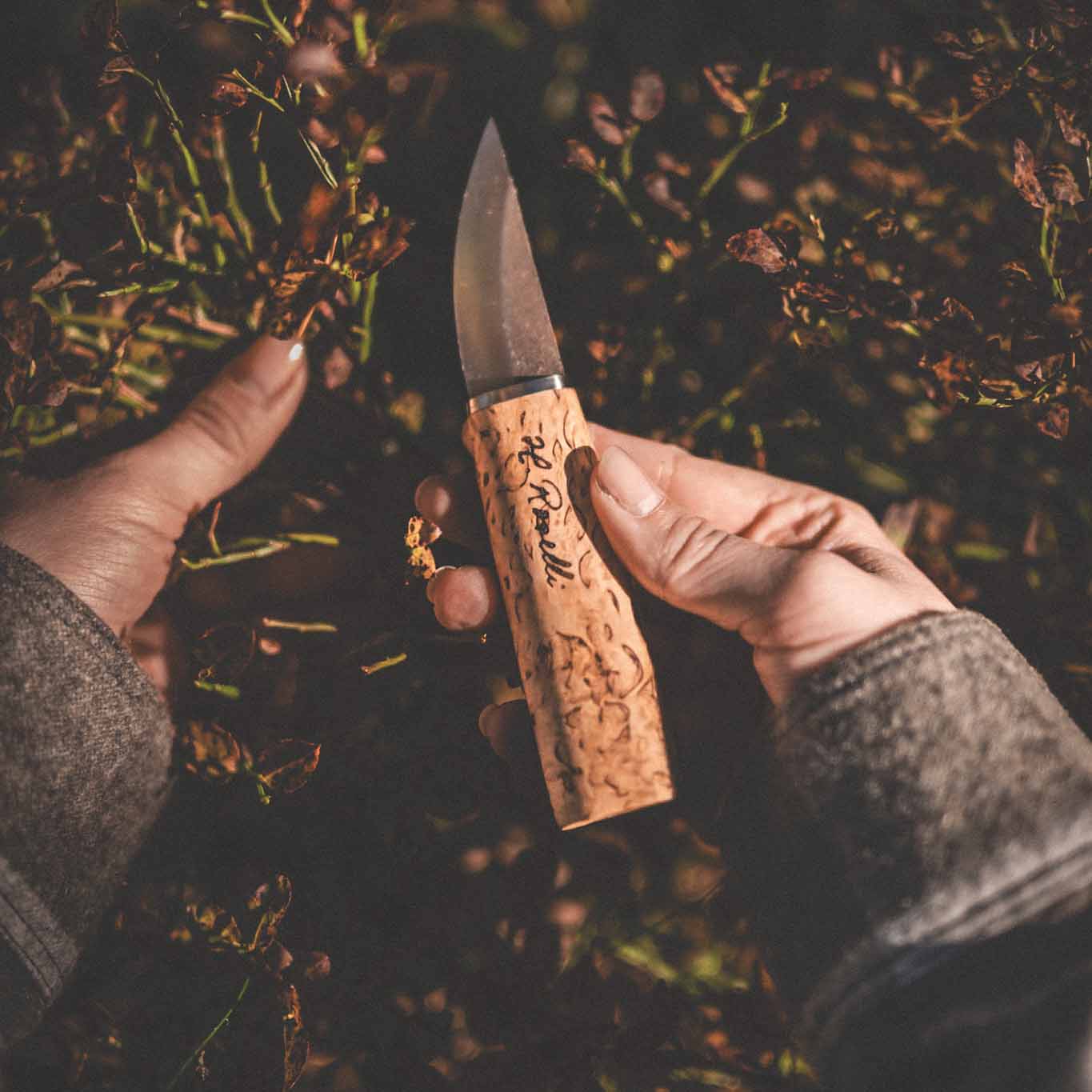 Handmade finnish knife from Roselli in model "grandmother knife" with steel of carbon steel and handle made out of curly birch