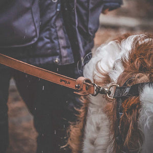 Rosellis finnish handmade leather dog leash.